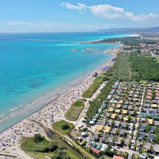 Tripesce
