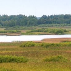 Lake Koigi