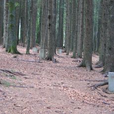 Kraj poslednjega boja Pohorskega bataljona