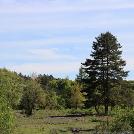 Schiefergrube Rosit bei Nauroth