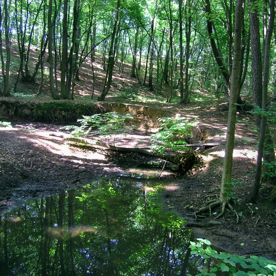 Přírodní park Rokytka