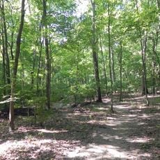 Emmenegger Nature Park