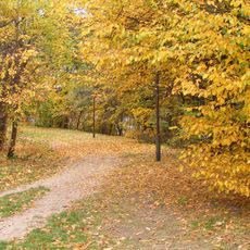 Park miejski w Olecku