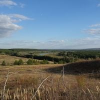 Petropavloskij rajon