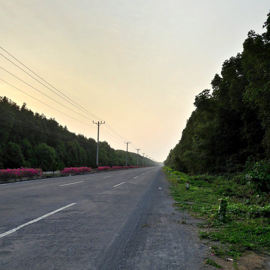 Rừng Sác Road