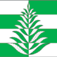 Сельское поселение Белавинское