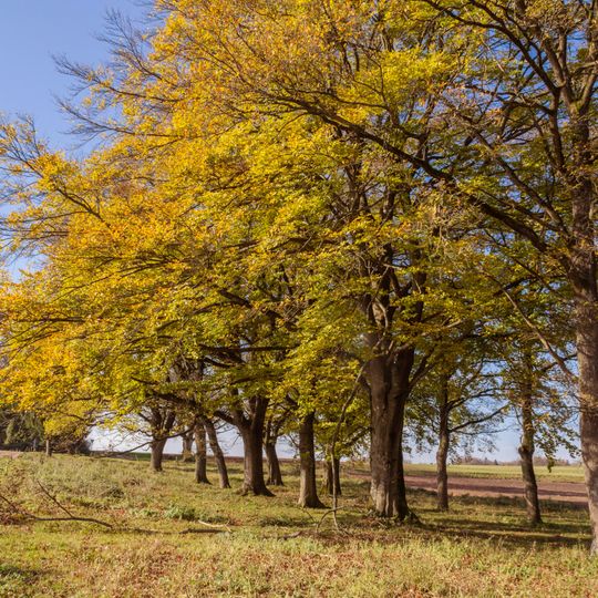 Hutanger bei Raschbach