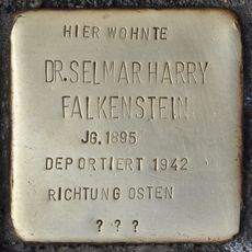 Dr. Selmar Harry Falkenstein