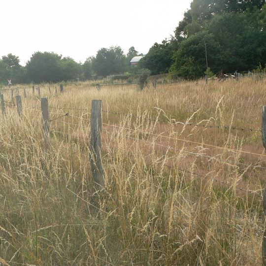 NSG Feuchte Gruenlandbrachen und Maehweiden "Kohlkaul"