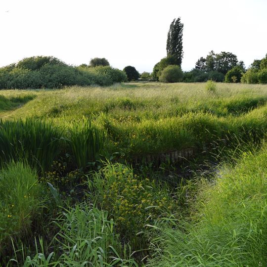 Landschaftsschutzgebiet Zingerwiesen