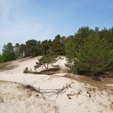 Plieņciema kāpa