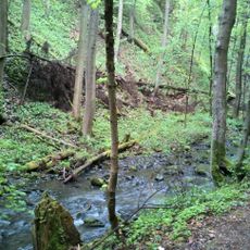 Nature reserve Wąwóz Myśliborski koło Jawora