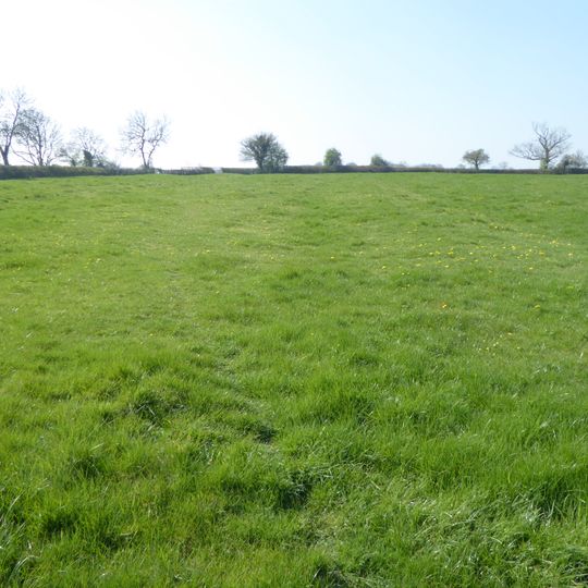 Plumpton Pasture