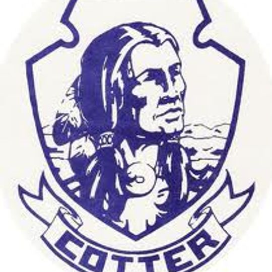 Cotter High School