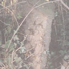 Milepost, N of Beard Hill & S of jct with A361