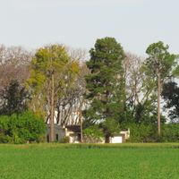 Dipartimento di Nogoyá