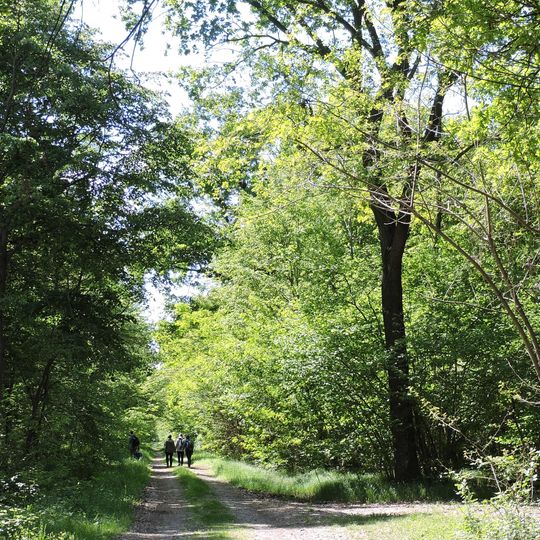 Parco naturale del Bosco delle Sorti della Partecipanza di Trino