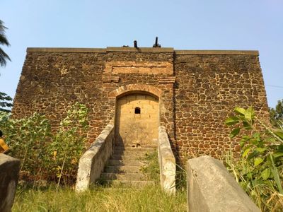 Immagine alternativa