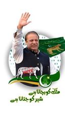Maryam Safdar