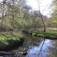 Wälder im Sachsenwald und Schwarze Au