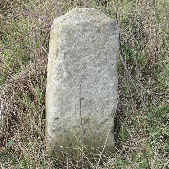 Milestone, E of Queach Farm