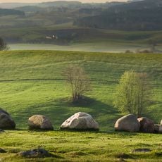 Nature reserve Głazowisko Łopuchowskie
