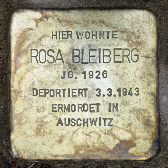 Stolperstein dedicated to Rosa Bleiberg