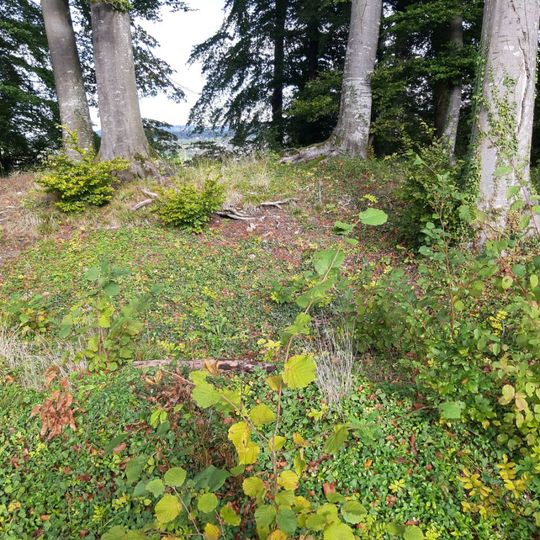 Burgstelle Liebenberg