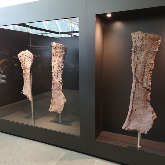 Centre d'interpretació Dinosaures Fumanya