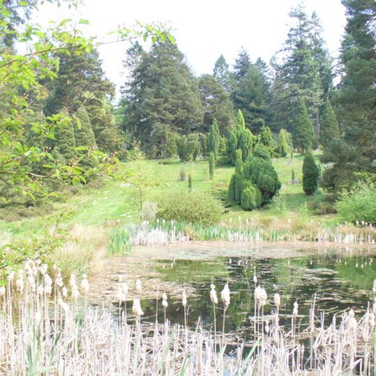 Bedgebury National Pinetum