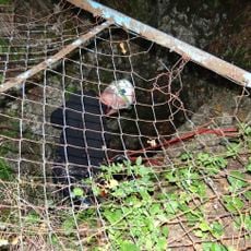 Jaskinia Racławicka