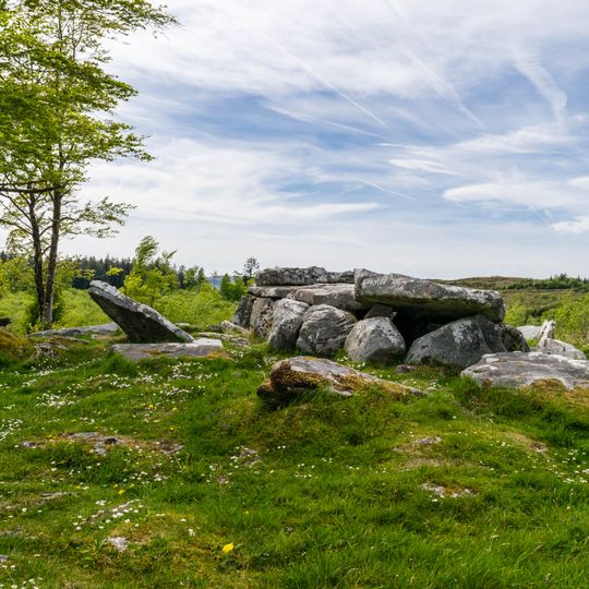 Burren Portal Tomb