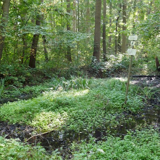 Tal des Goldenstedter Mühlenbaches