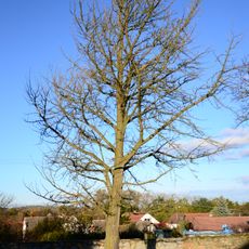 Jinan u Strážovického zámku