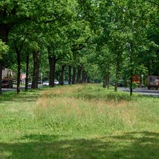 Mittelstreifen Potsdamer Straße / Potsdamer Chaussee
