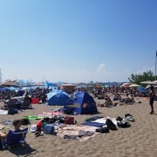Hanlan's Point Beach
