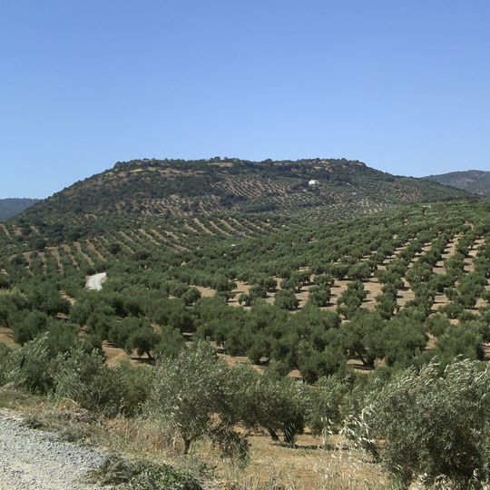 Cabeza Baja de Encina Hermosa