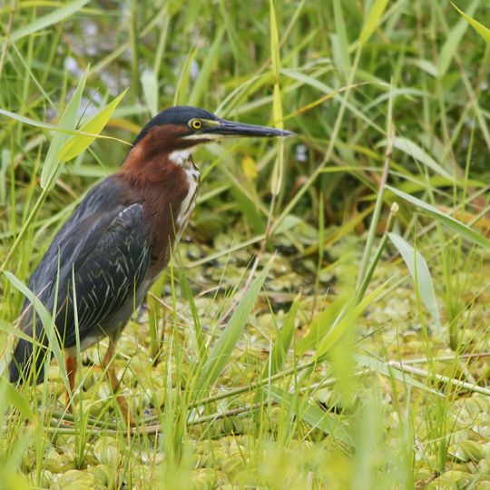 Reserva de la biosfera Agua y Paz