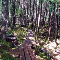 Johnson Brook Trail