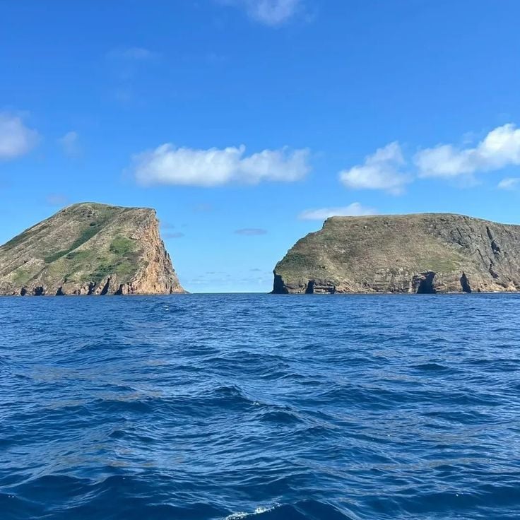 Ilhéu das Cabras