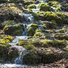 Junge Steinerne Rinne bei Rohrbach