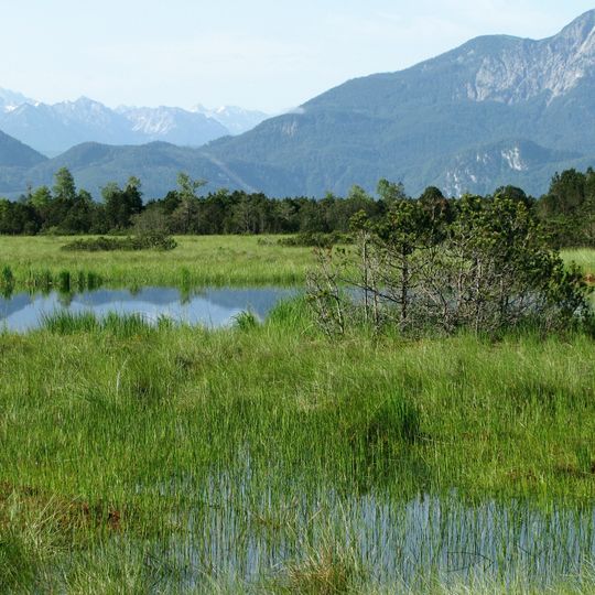 Fichtsee im Sindelsbachfilz