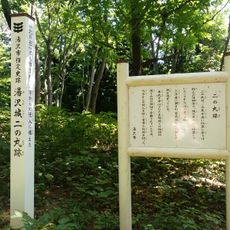 Yuzawa Castle