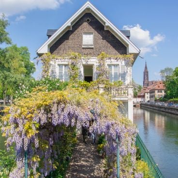 Alternative Fotostandorte in Straßburg