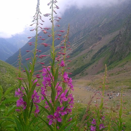 Rezerwat Północnoosetyjski