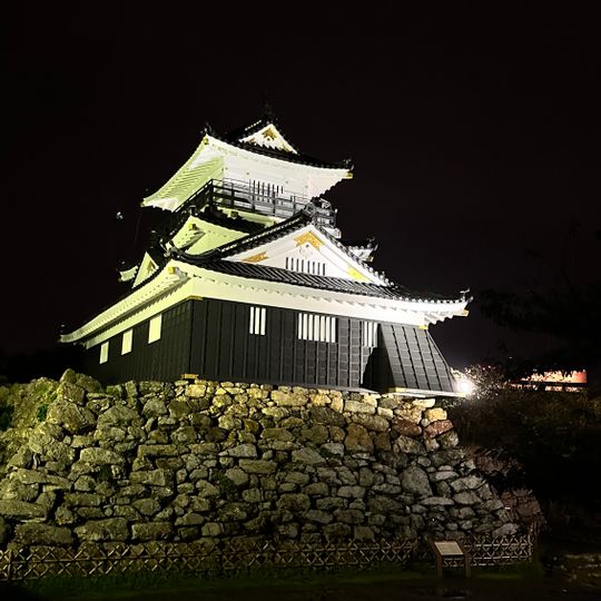 Castillo Hamamatsu