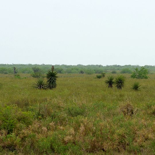 Laguna Atascosa National Wildlife Refuge