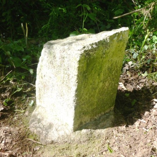 Milestone 50 Metres To South East Of Tregonna