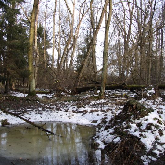 Bažantnice u Pracejovic