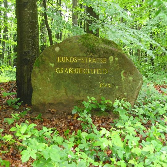 Ritterstein 244 "Hunds-Straße Grabhügelfeld"